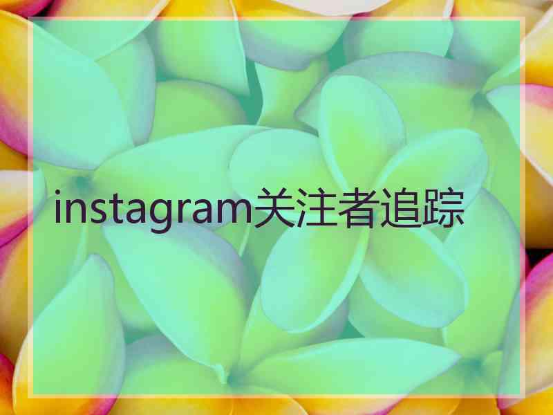 instagram关注者追踪