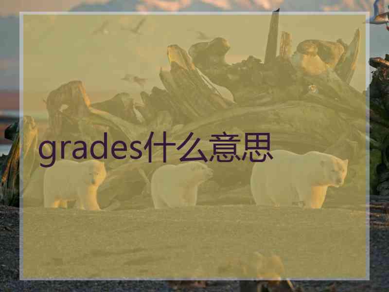 grades什么意思