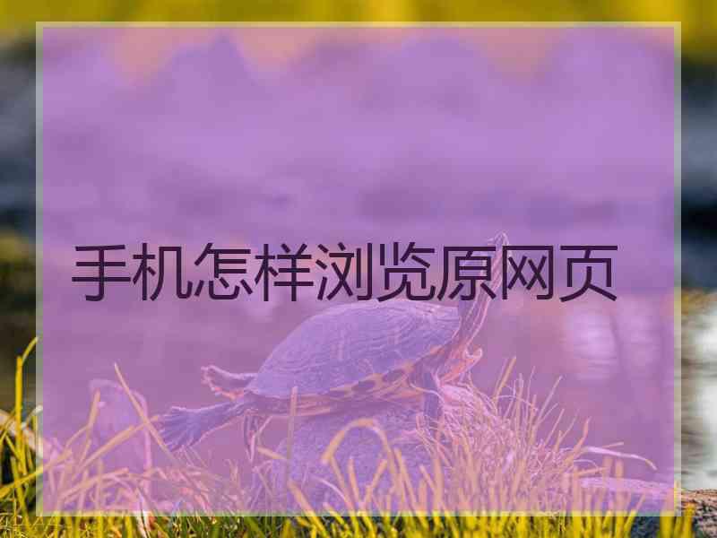 手机怎样浏览原网页