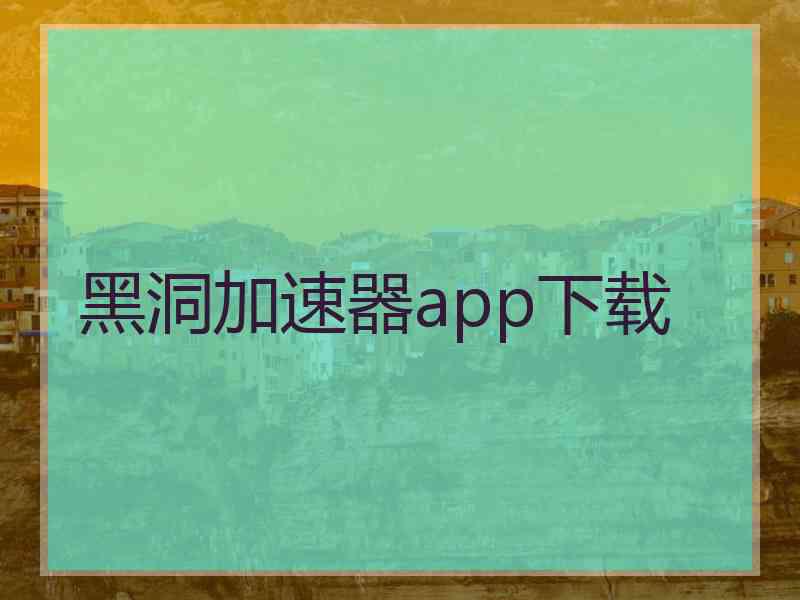黑洞加速器app下载