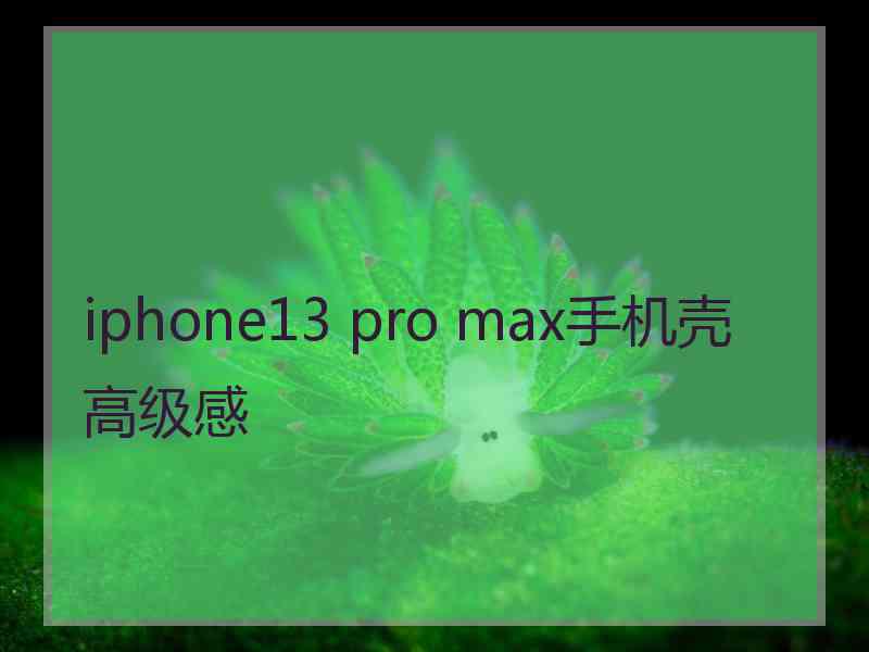 iphone13 pro max手机壳高级感