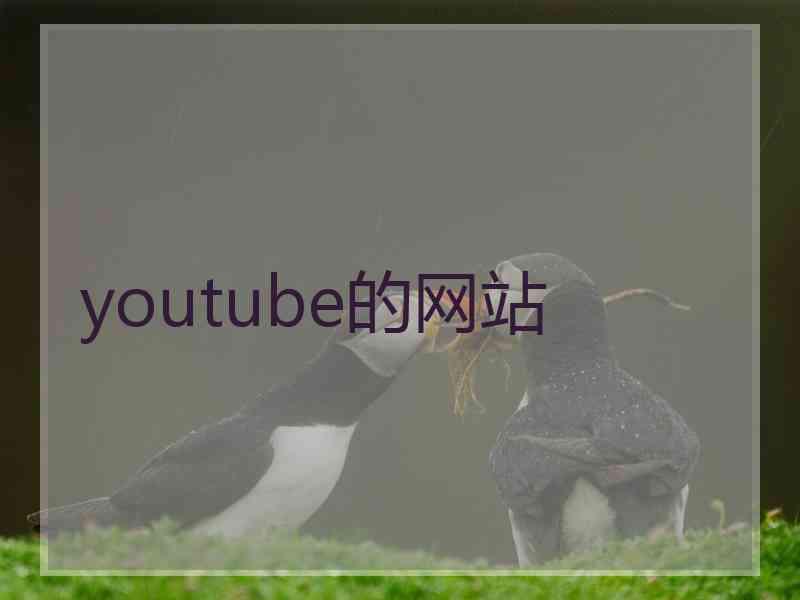 youtube的网站