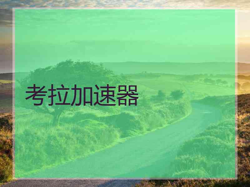 考拉加速器
