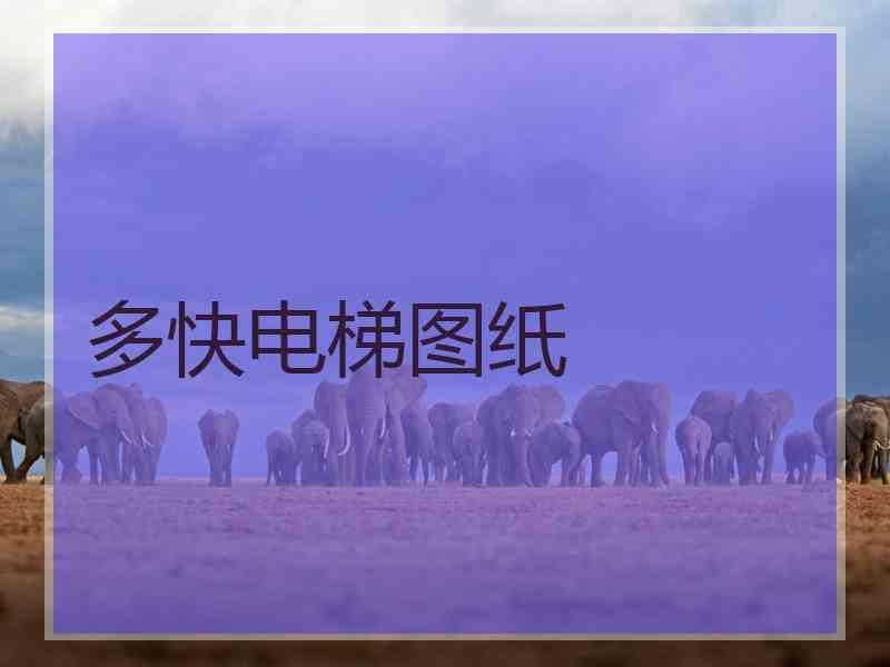 多快电梯图纸