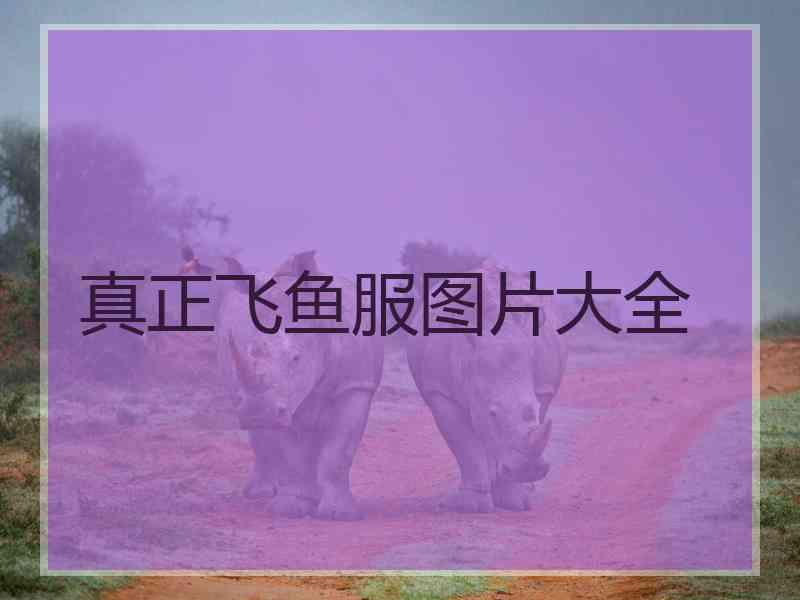 真正飞鱼服图片大全