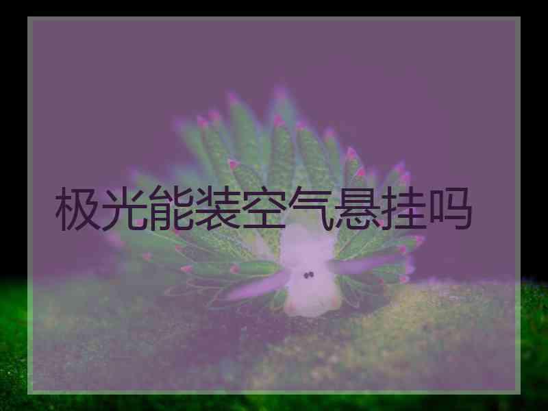 极光能装空气悬挂吗