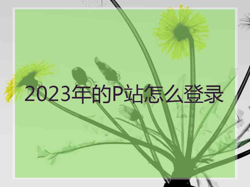 2023年的P站怎么登录