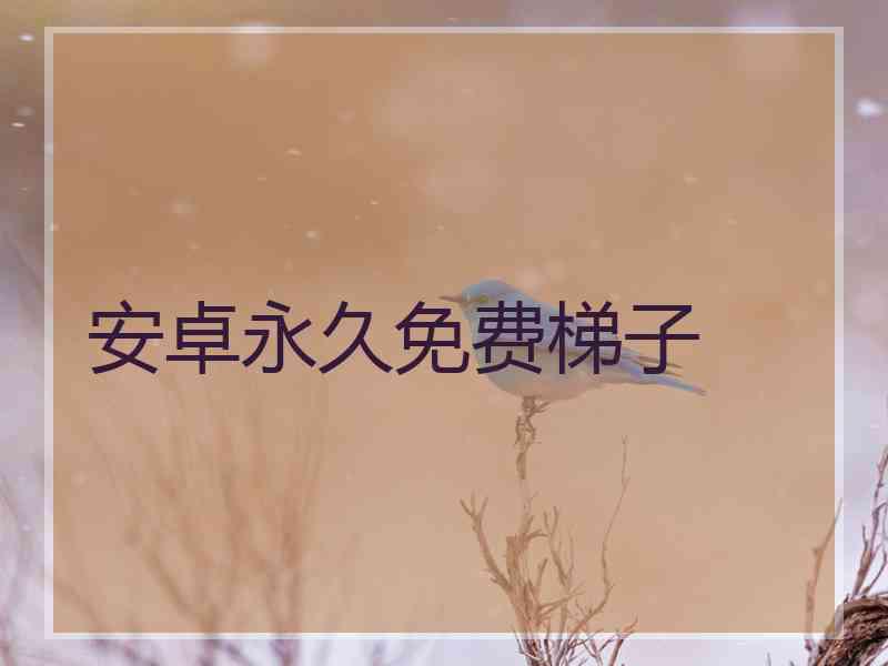 安卓永久免费梯子