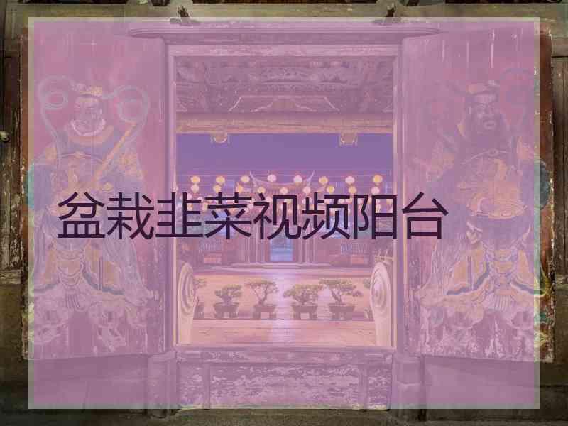 盆栽韭菜视频阳台