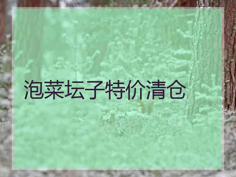 泡菜坛子特价清仓