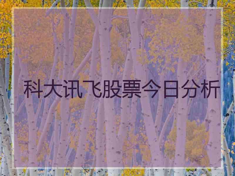 科大讯飞股票今日分析