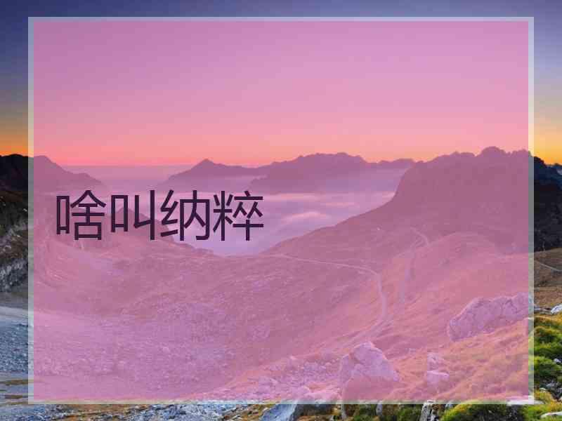 啥叫纳粹