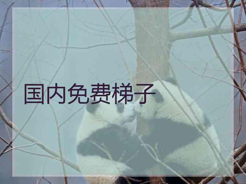 国内免费梯子
