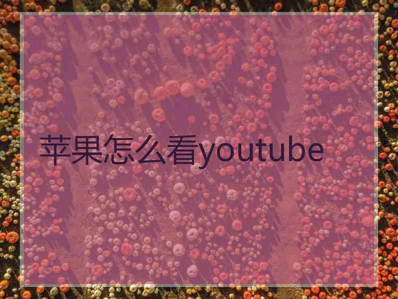 苹果怎么看youtube