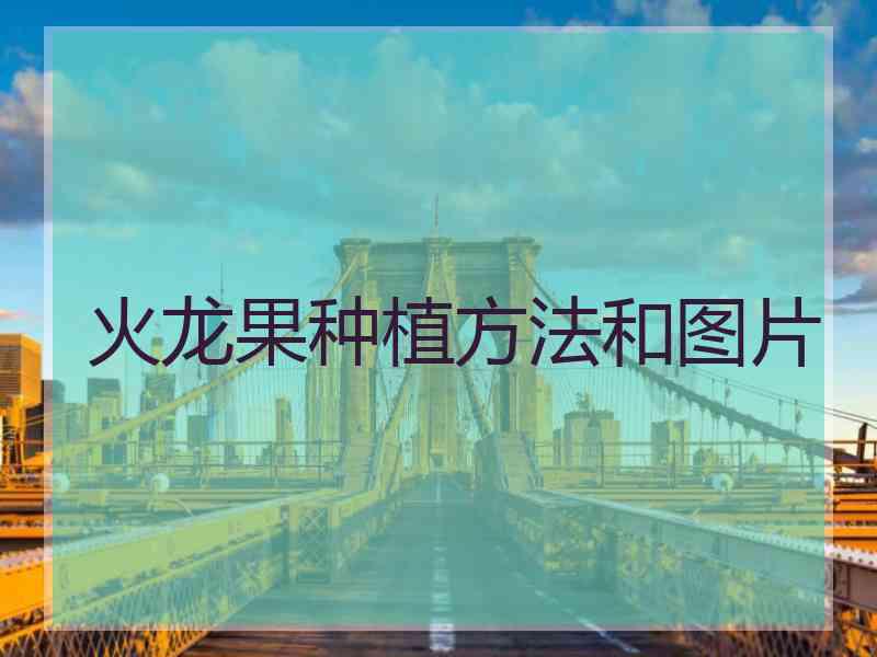 火龙果种植方法和图片