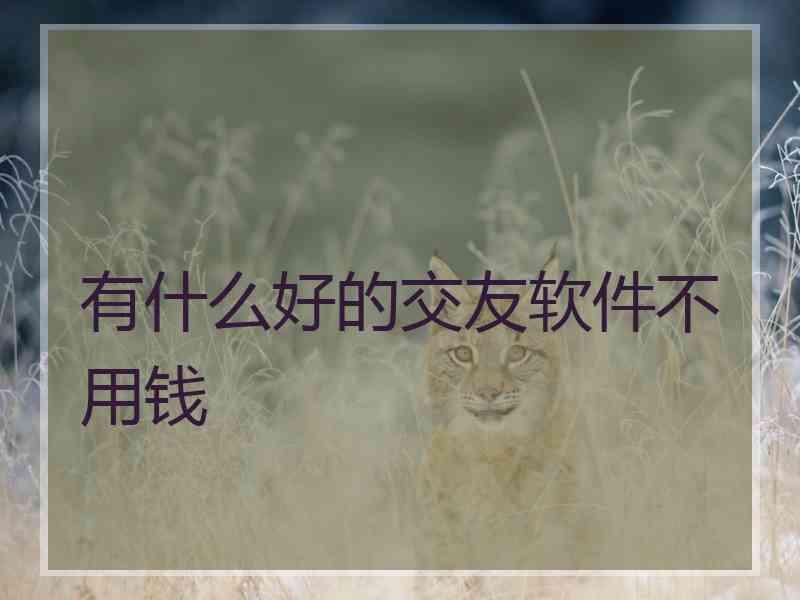 有什么好的交友软件不用钱
