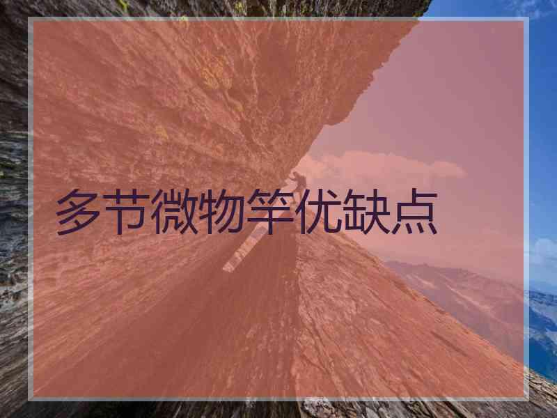 多节微物竿优缺点