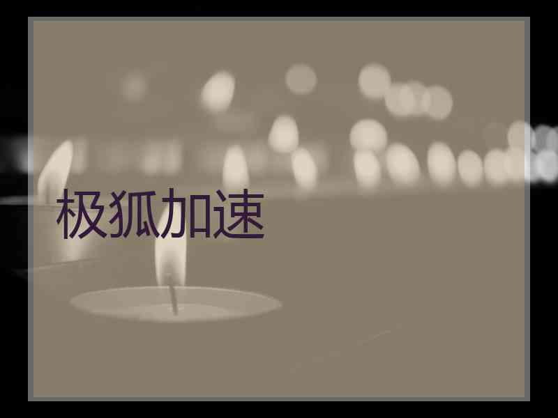 极狐加速