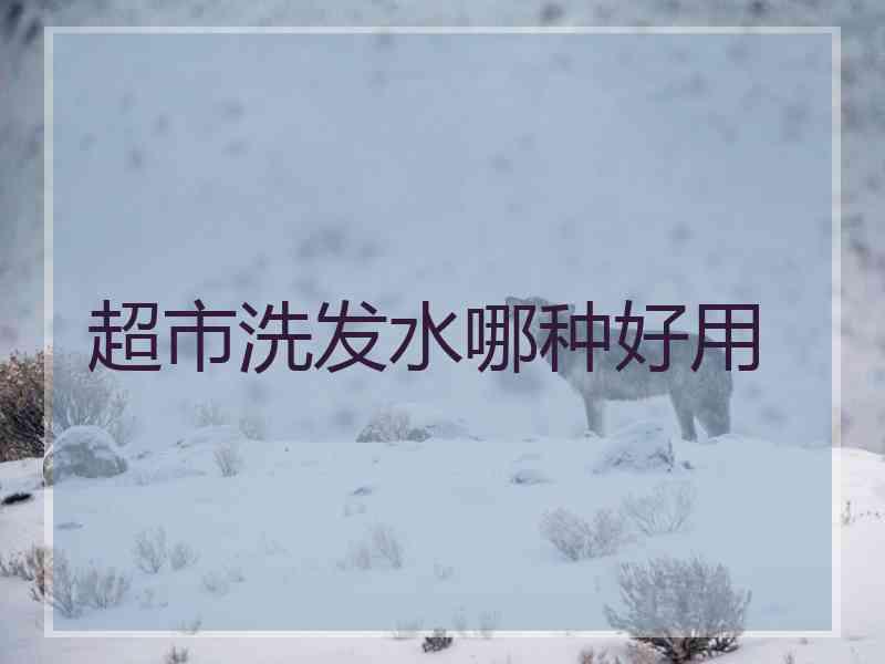 超市洗发水哪种好用