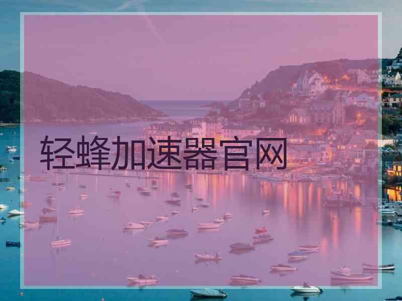 轻蜂加速器官网