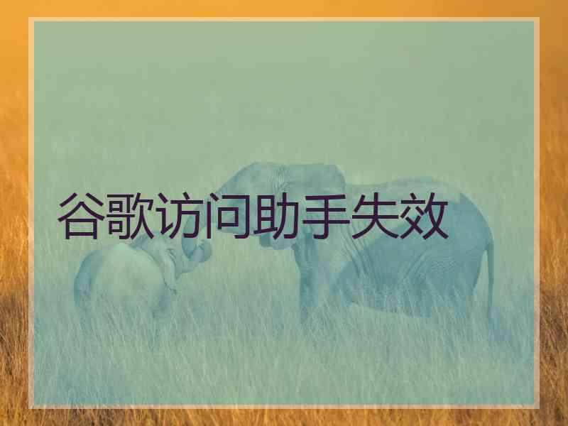 谷歌访问助手失效