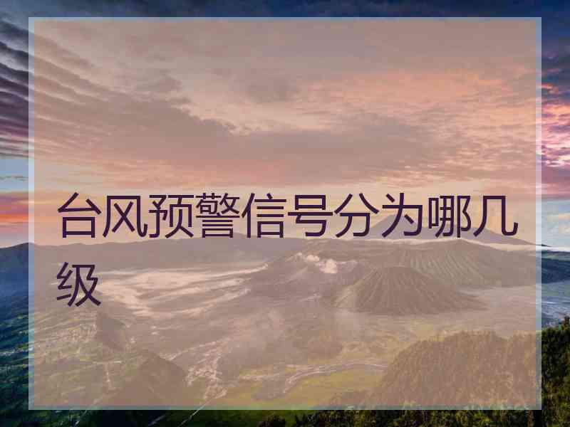 台风预警信号分为哪几级