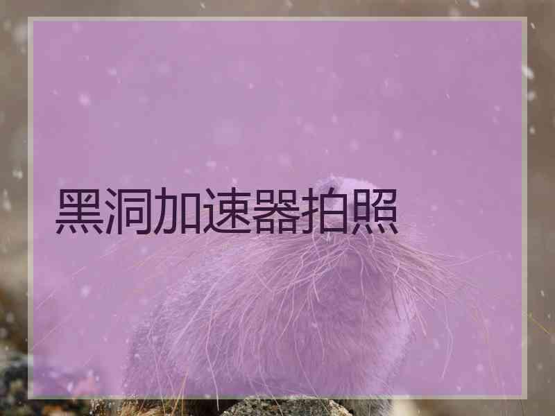 黑洞加速器拍照