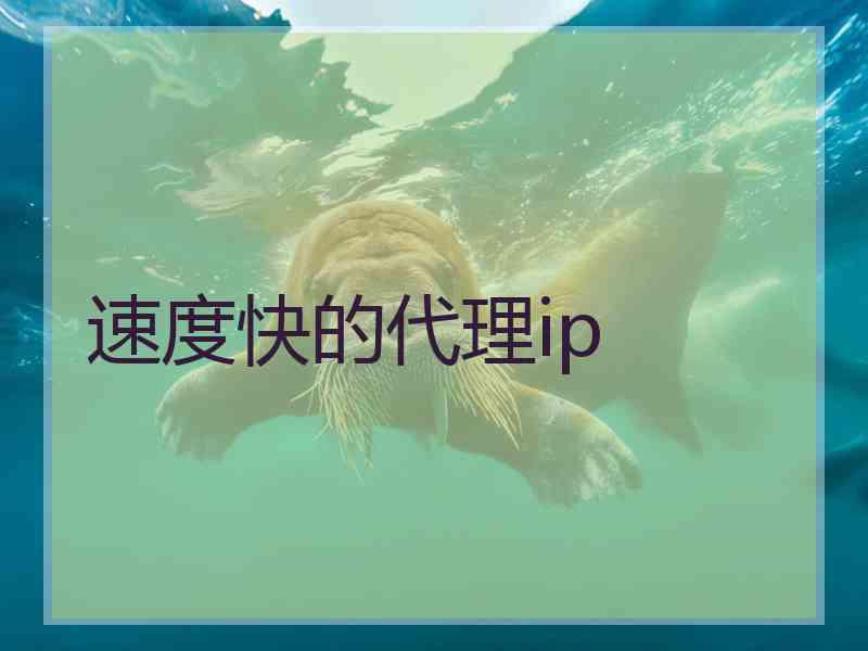 速度快的代理ip
