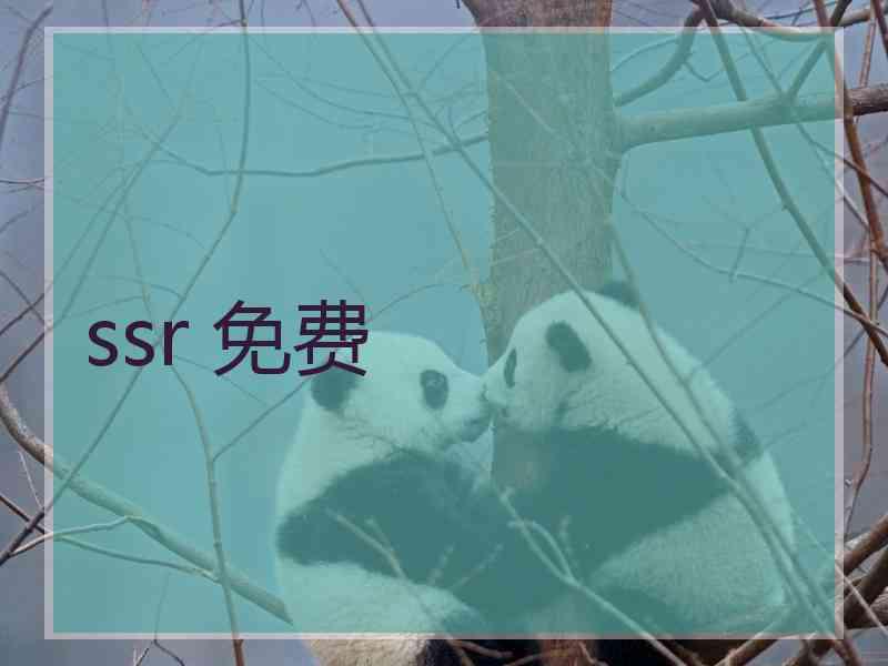 ssr 免费
