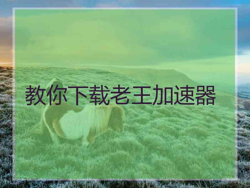 教你下载老王加速器