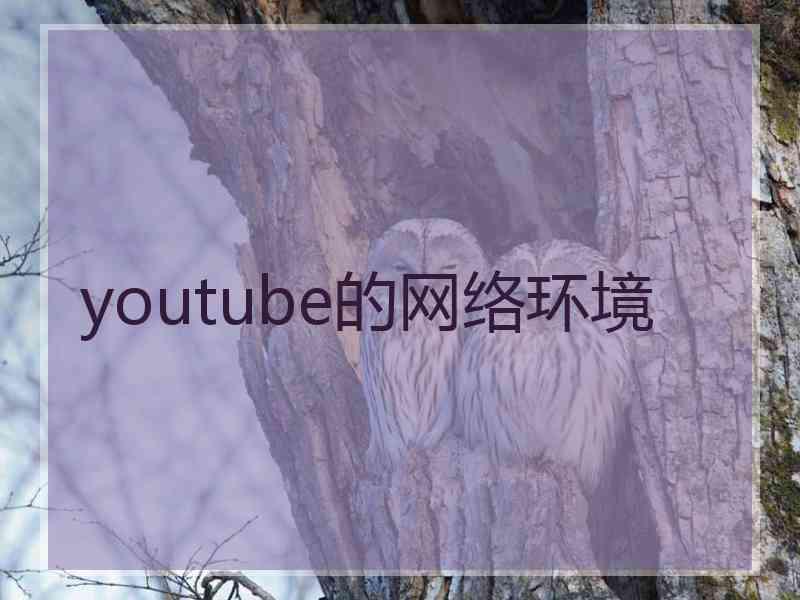 youtube的网络环境