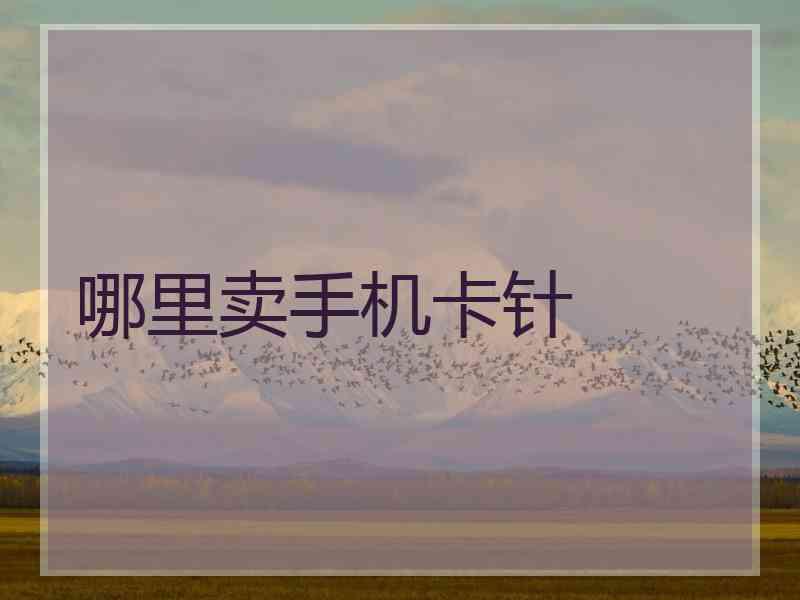 哪里卖手机卡针