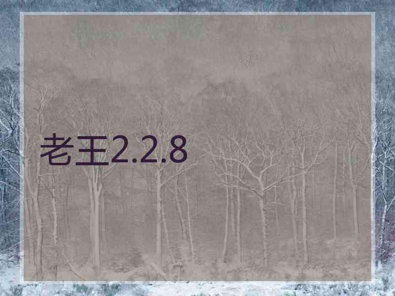 老王2.2.8