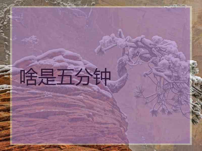 啥是五分钟