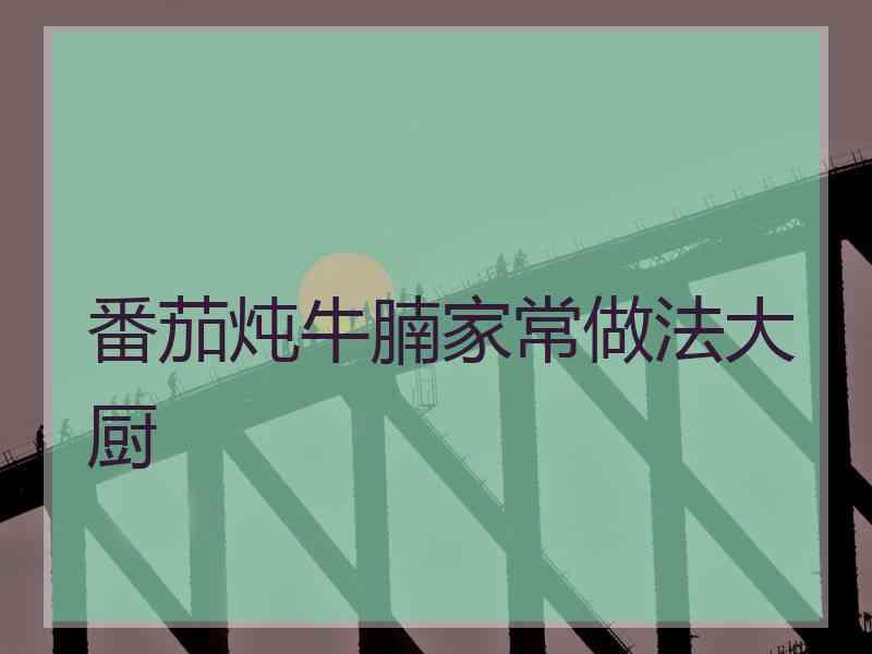 番茄炖牛腩家常做法大厨