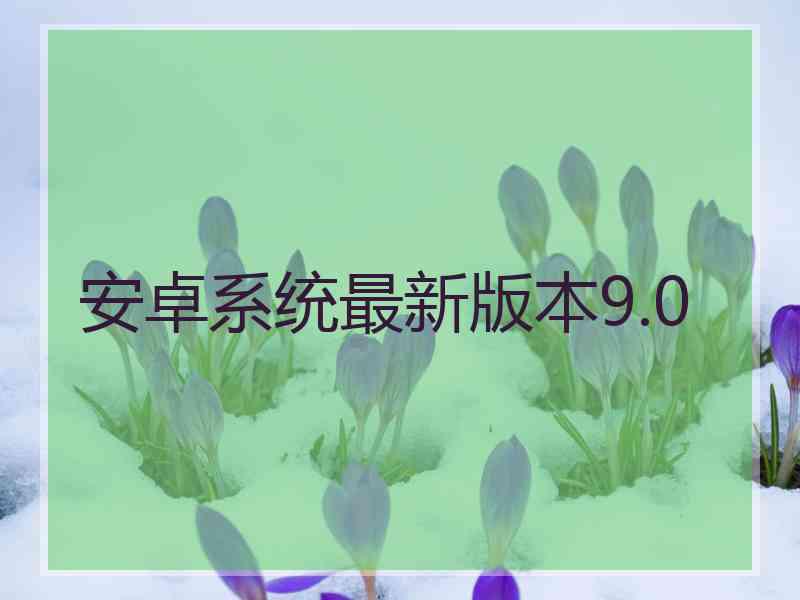 安卓系统最新版本9.0