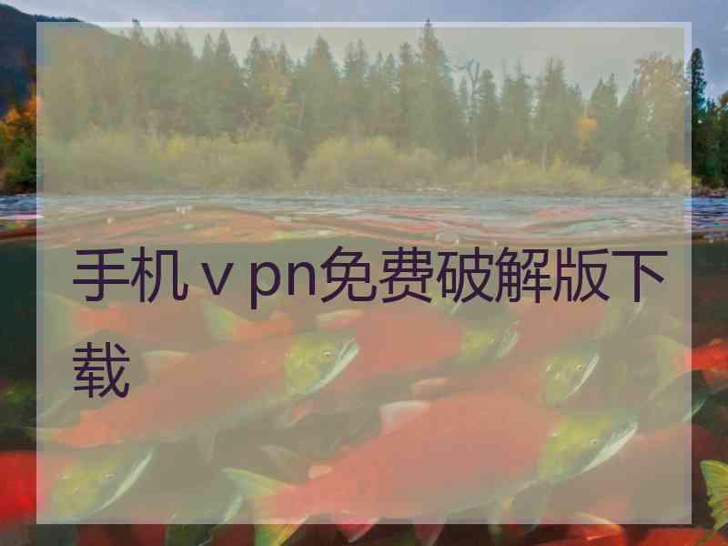 手机ⅴpn免费破解版下载