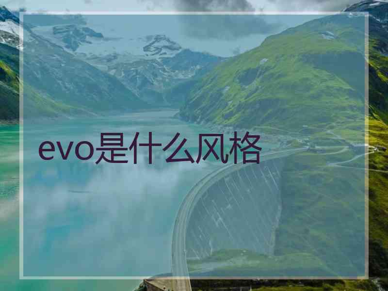 evo是什么风格
