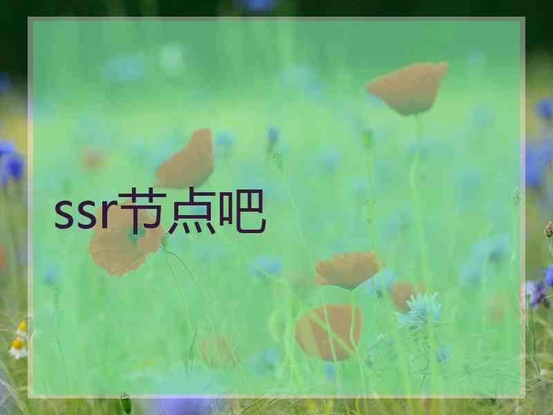 ssr节点吧