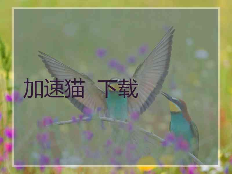 加速猫  下载