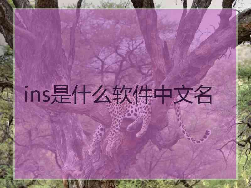 ins是什么软件中文名