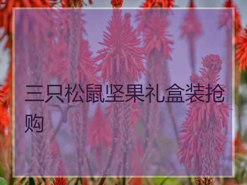 三只松鼠坚果礼盒装抢购