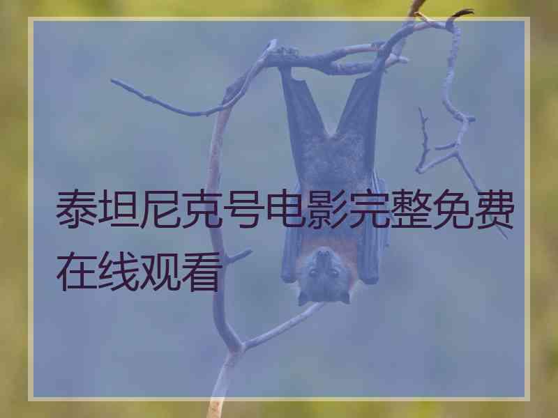 泰坦尼克号电影完整免费在线观看