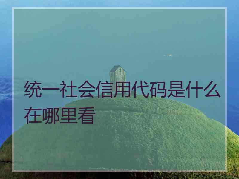 统一社会信用代码是什么在哪里看