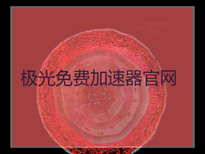 极光免费加速器官网
