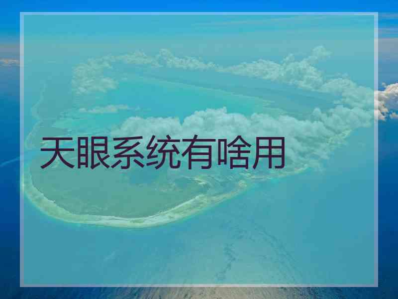 天眼系统有啥用
