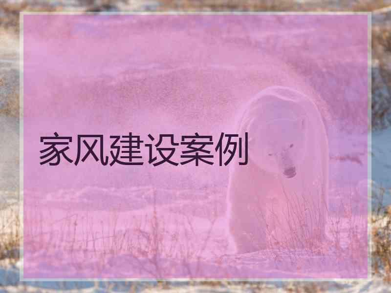 家风建设案例