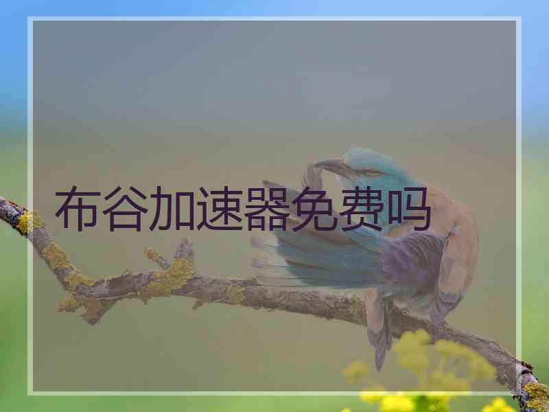 布谷加速器免费吗