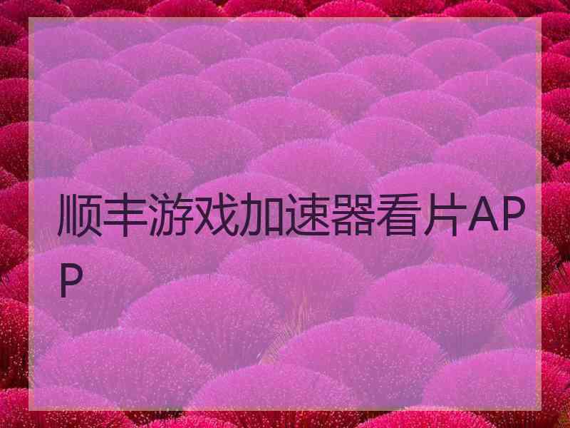 顺丰游戏加速器看片APP