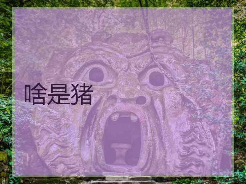 啥是猪